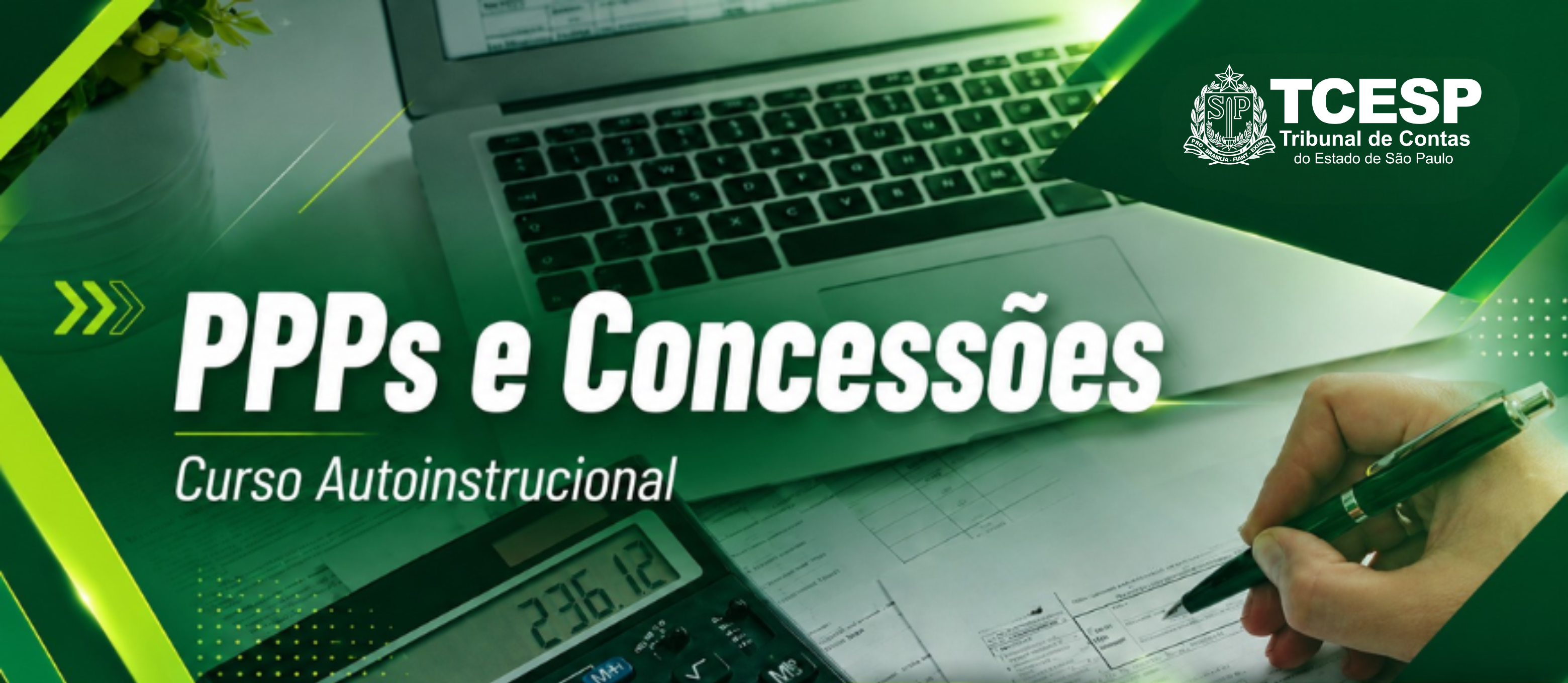 PPPs e Concessões - Autoinstrucional 2025