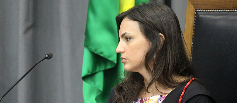 Colegiado da Segunda Câmara nega provimento a 13 recursos