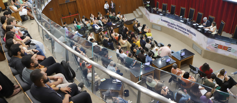 TCESP divulga resultados de Auditoria Operacional e debate desigualdades na Primeira Infância