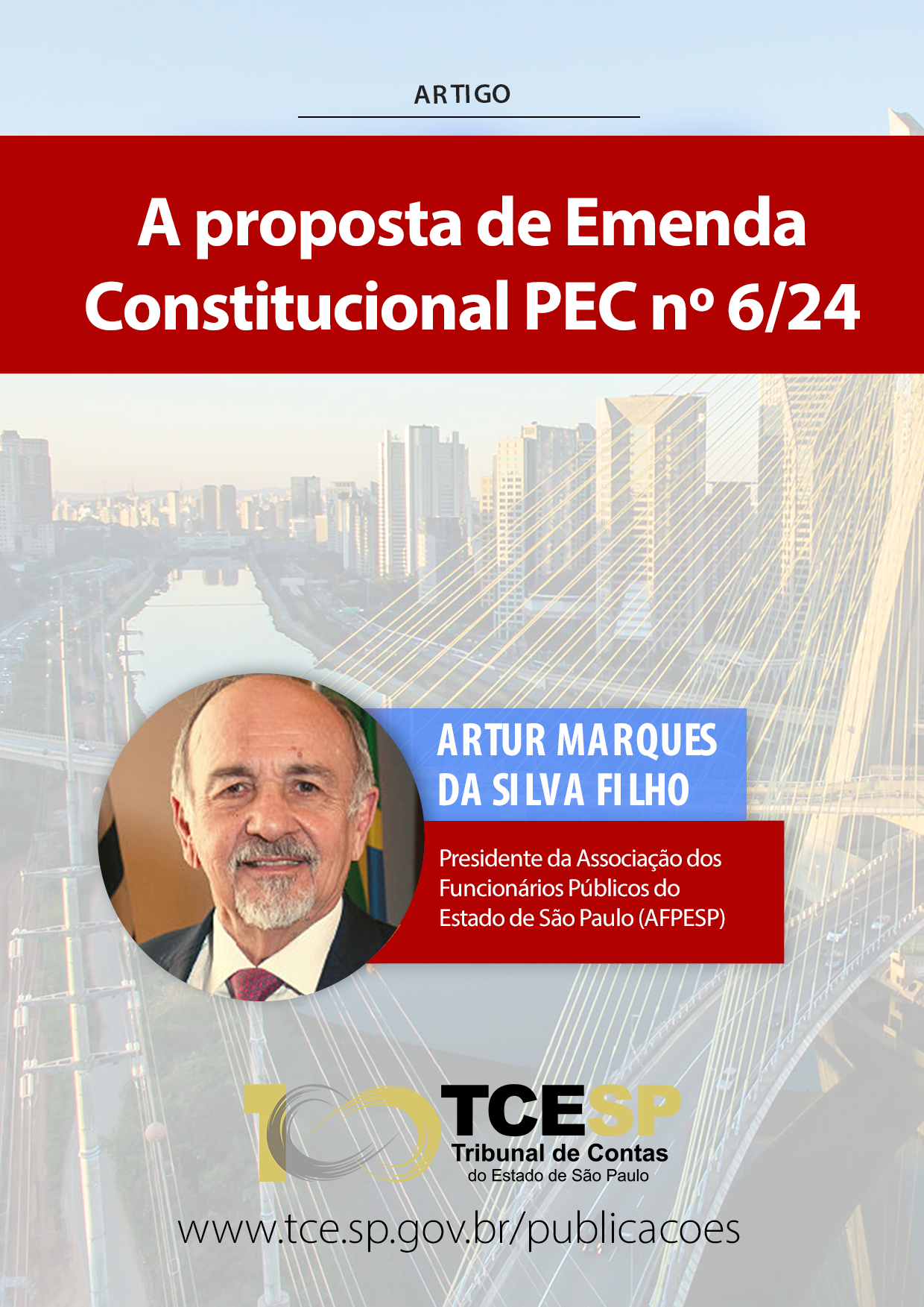 ARTIGO: A proposta de Emenda Constitucional PEC nº 6/24