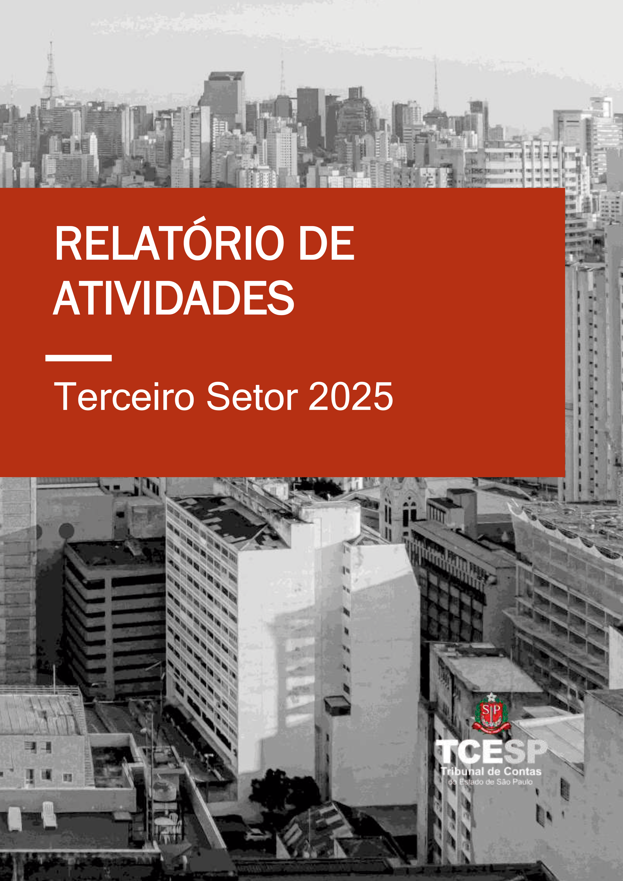 Relatório de Atividades do Terceiro Setor 2025