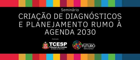 CRIAÇÃO DE DIAGNÓSTICOS E PLANEJAMENTO RUMO À AGENDA 2030