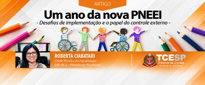 ARTIGO: Um ano da nova PNEEI: Desafios de implementação e o papel do controle externo