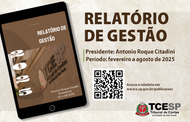 Relatório de Gestão - 2025