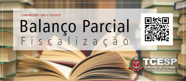 Tribunal de Contas divulga balanço com principais ações da fiscalização