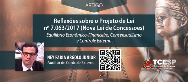 ARTIGO: Reflexões sobre o Projeto de Lei nº 7.063/2017 (Nova Lei de Concessões)