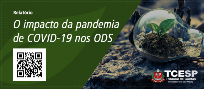 Tribunal analisa impacto da pandemia nos Objetivos de Desenvolvimento Sustentável 