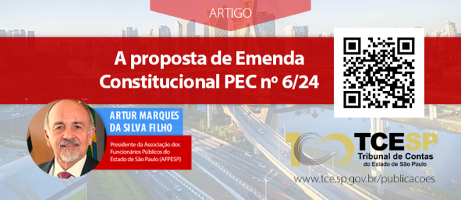 ARTIGO: A proposta de Emenda Constitucional PEC nº 6/24