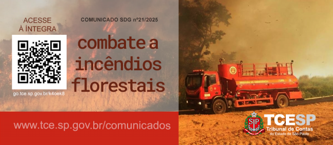 Tribunal de Contas alerta municípios sobre combate a incêndios florestais