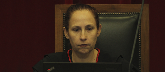 Segunda Câmara analisa 106 processos