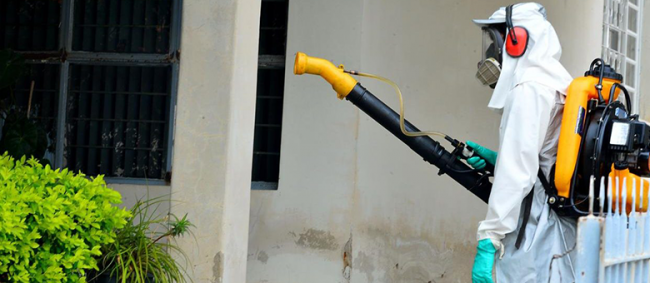 Tribunal de Contas requisita informações do Governo do Estado sobre combate à dengue