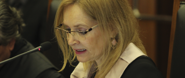 Colegiado do TCESP examina 43 representações em sede de Exames Prévios de Editais