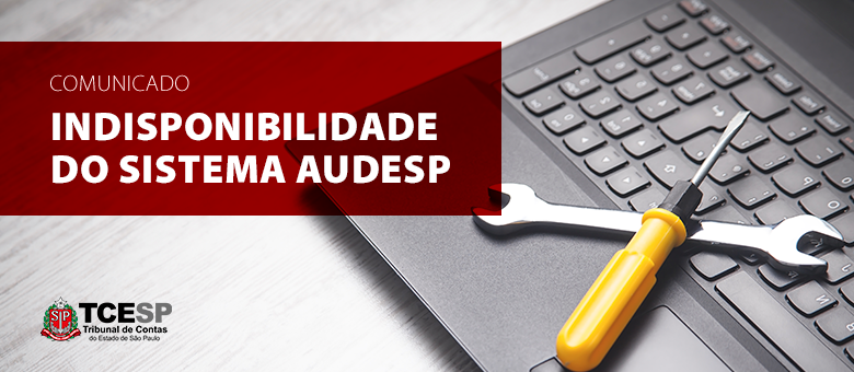 Indisponibilidade - Portal da Transparência, Servidor, Sistema