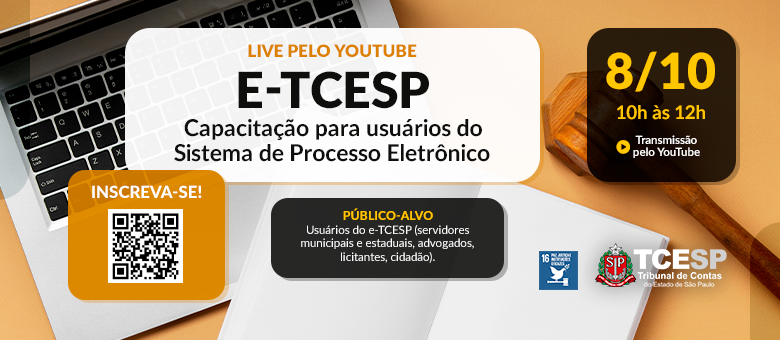 Tribunal realiza capacitação on-line sobre o Sistema de Processo Eletrônico (e-TCESP)