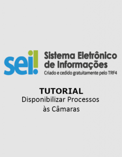 Disponibilizar Processos às Câmaras