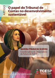 ARTIGO: O papel do Tribunal de Contas no desenvolvimento sustentável