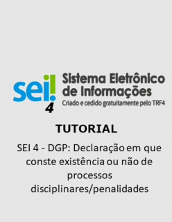 Tutorial - SEI 4 - DGP: Declaração em que conste existência ou não de processos disciplinares/penalidades