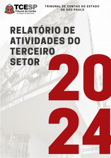 Relatório de Atividades do Terceiro Setor 2024